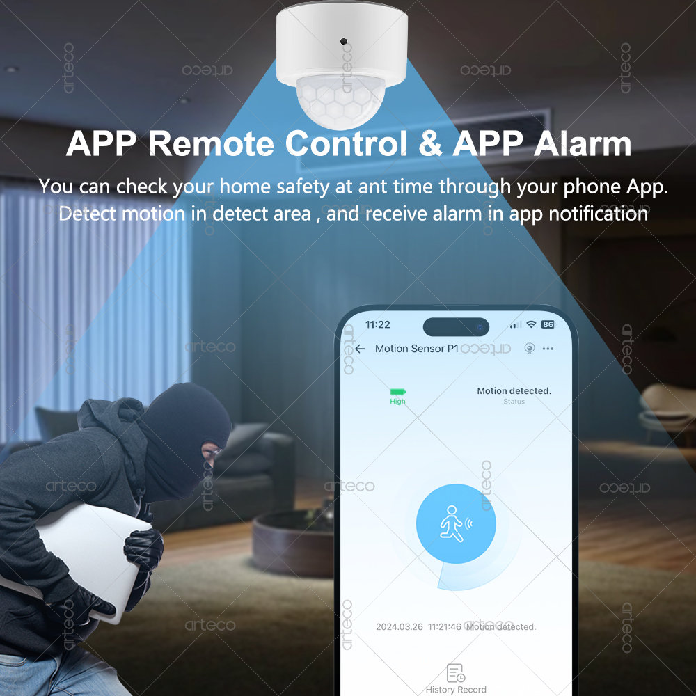 Ewelink Zigbee PIR датчик движ – обзор и цена Pir Motion Sensor
